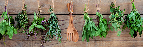 西洋野菜・ハーブの種