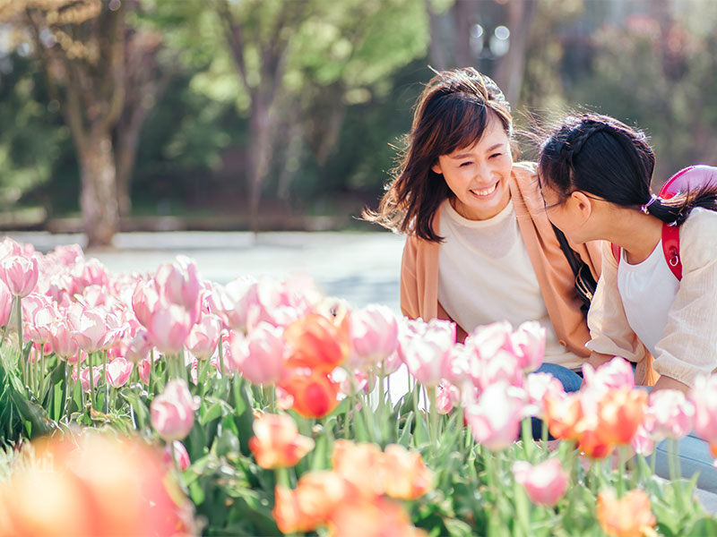 チューリップを育てるポイント