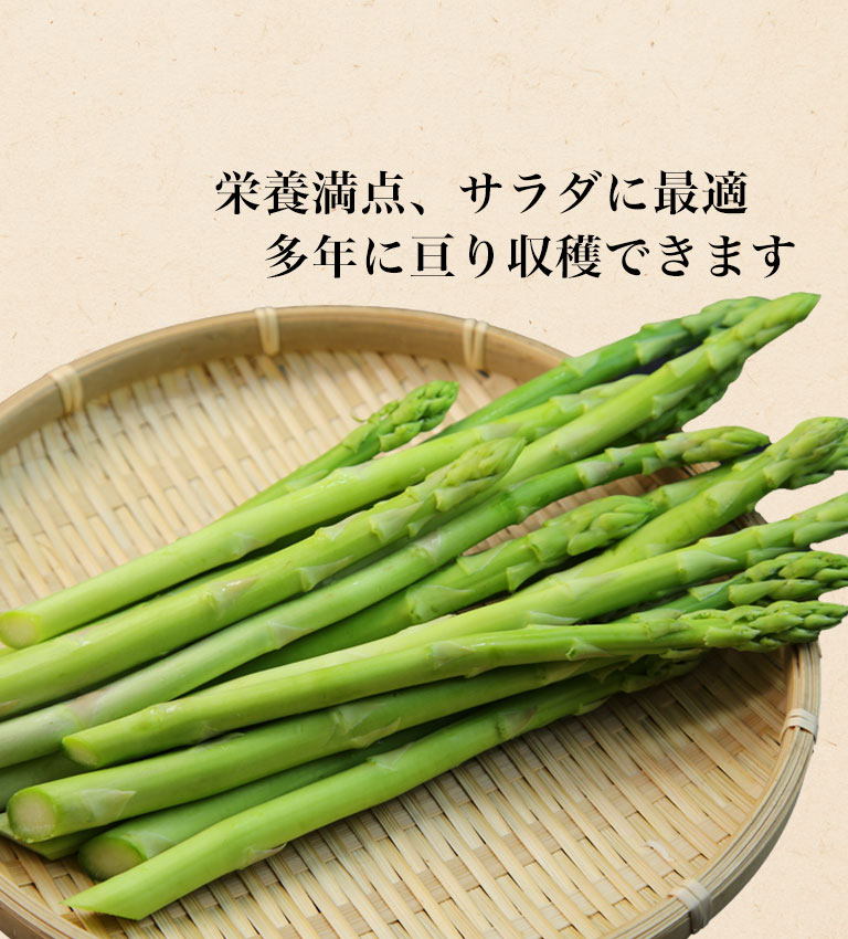 アスパラガス