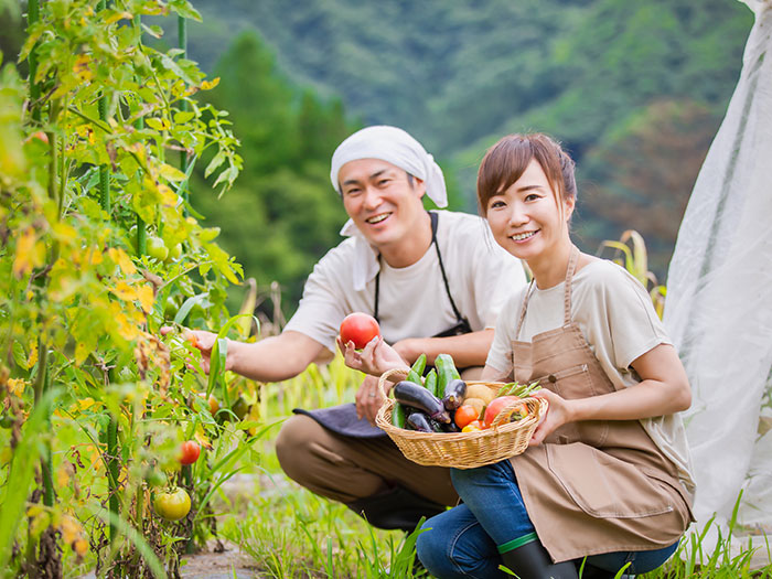 野菜を上手に育てるコツ